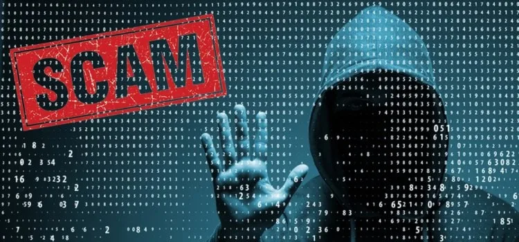 NFT玩法最新教程